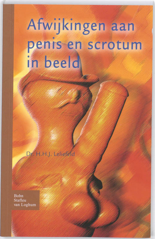 Omslag van Afwijkingen aan penis en scrotum in beeld