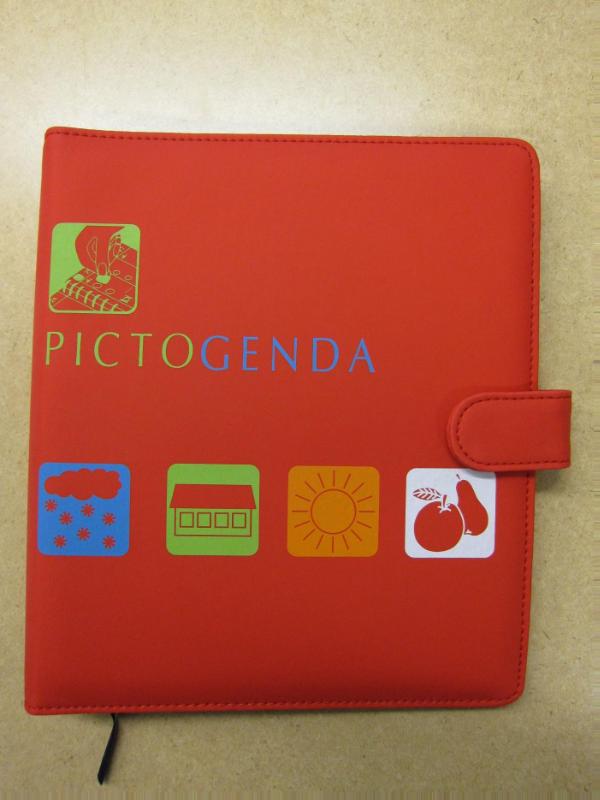 Omslag van Pictogenda