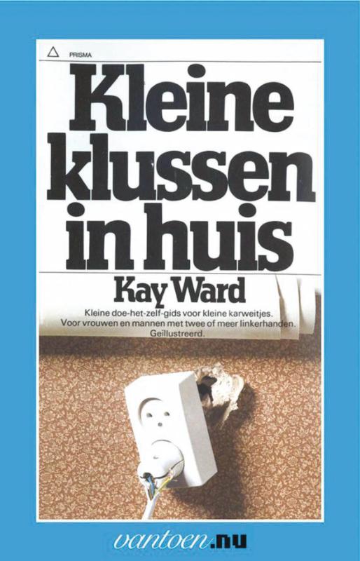Omslag van Kleine klussen in huis