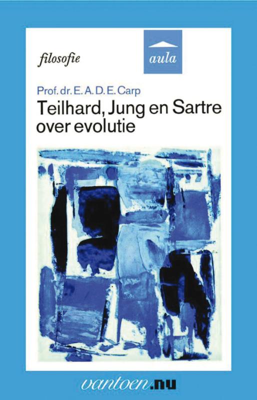 Omslag van Teilhard, Jung en Sartre over evolutie