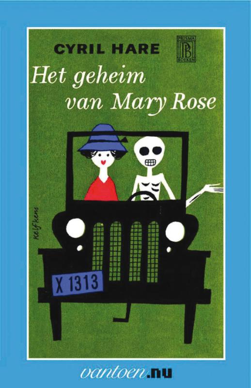 Omslag van Het geheim van Mary Rose