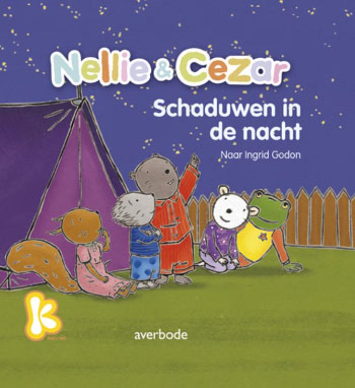 Omslag van Schaduwen in de nacht