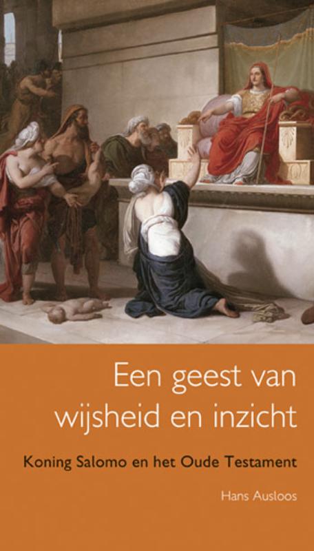 Omslag van Een geest van wijsheid en inzicht