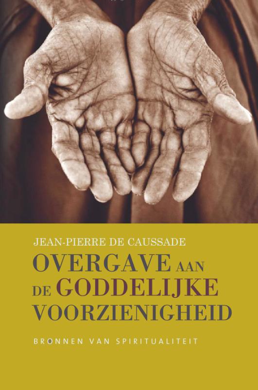Omslag van Overgave aan de Goddelijke voorzienigheid