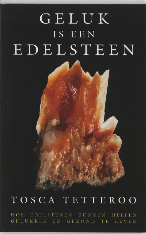 Omslag van Geluk is een edelsteen