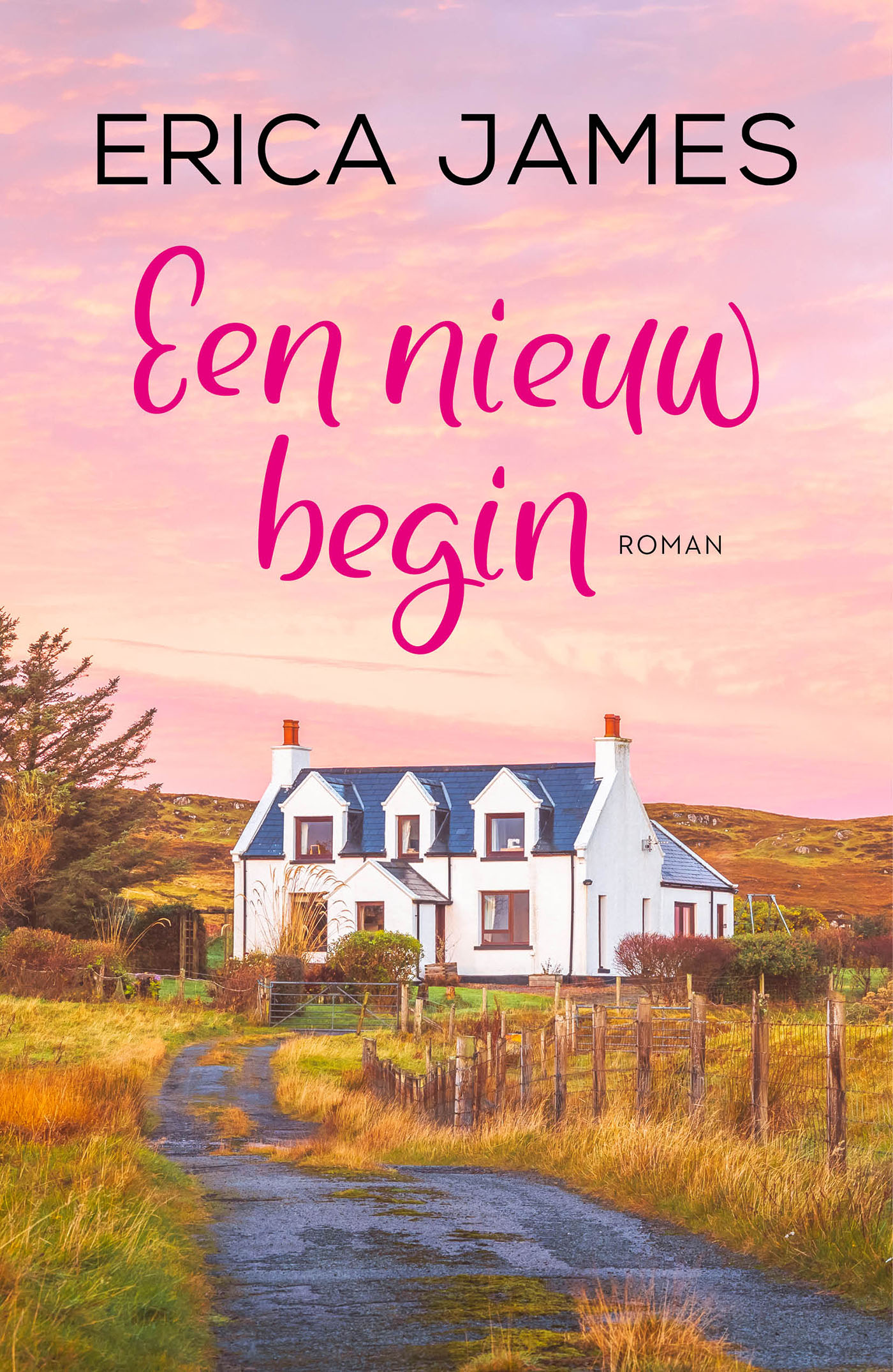 Omslag van Een nieuw begin