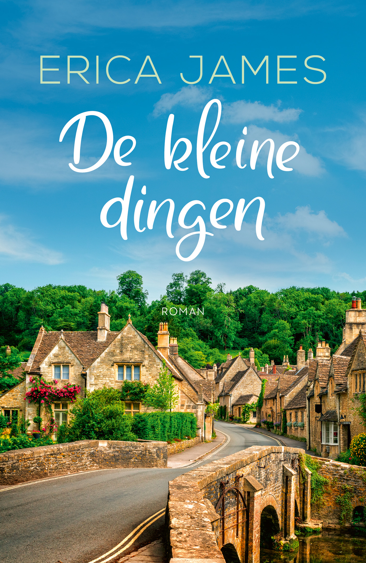 Omslag van De kleine dingen