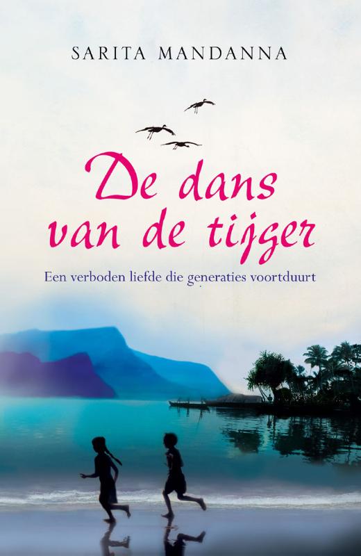 Omslag van De dans van de tijger