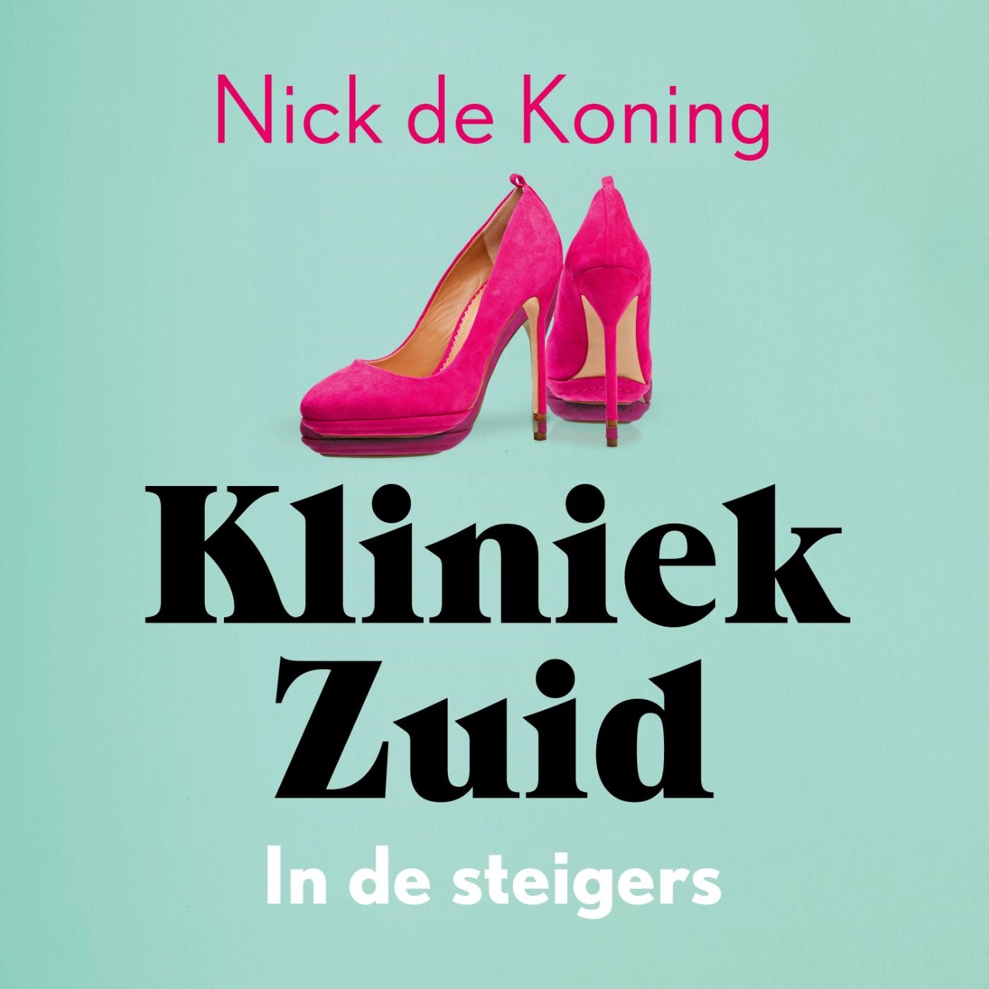 Omslag van In de steigers