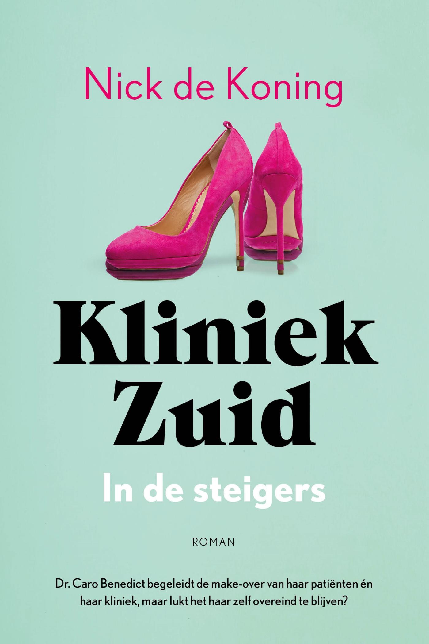 Omslag van In de steigers