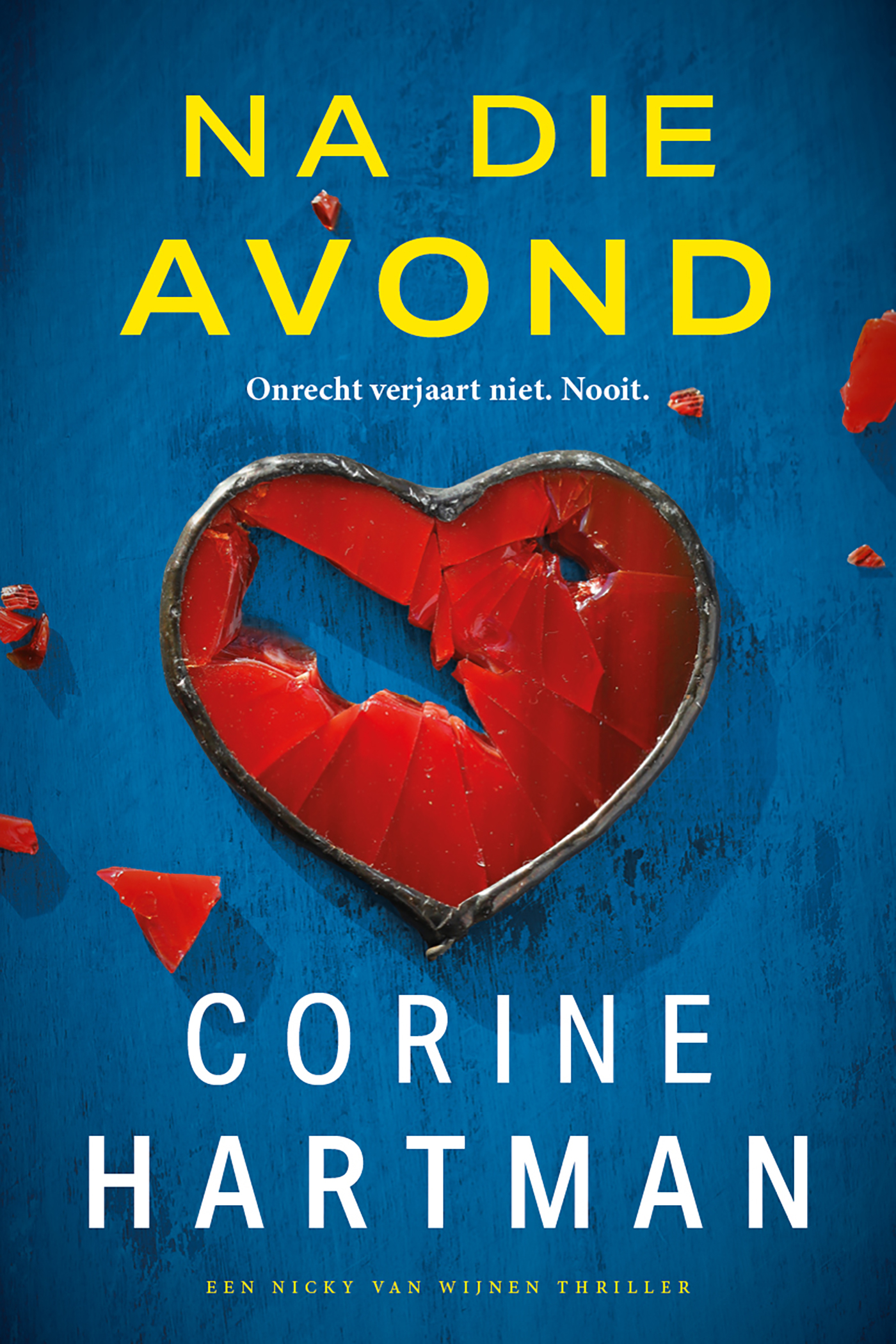 Omslag van Na die avond
