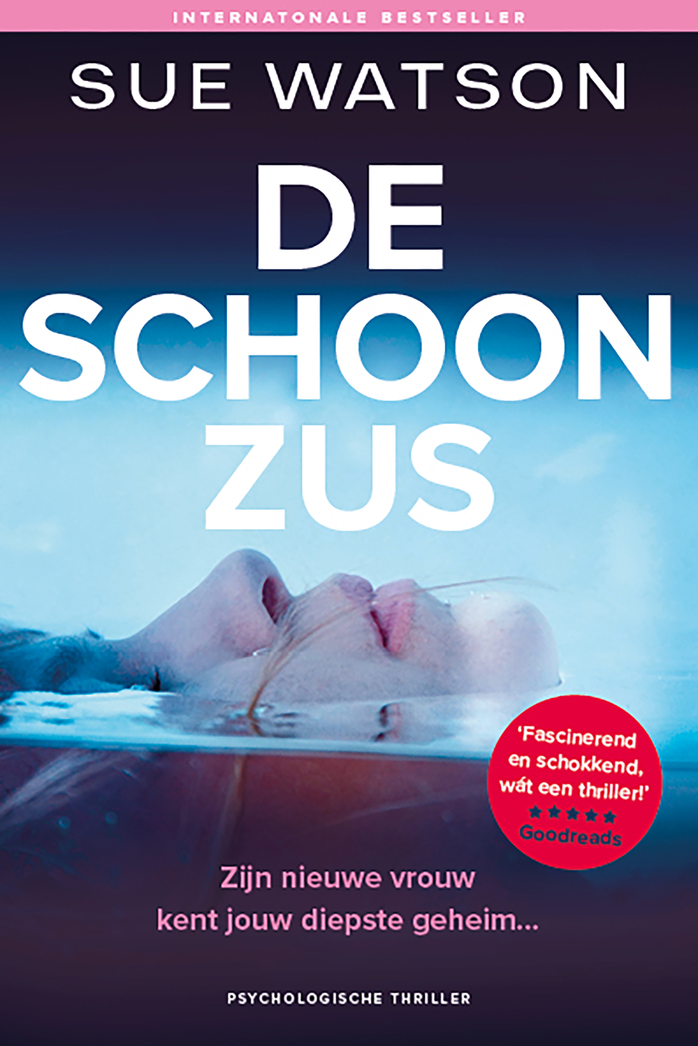 Omslag van De schoonzus