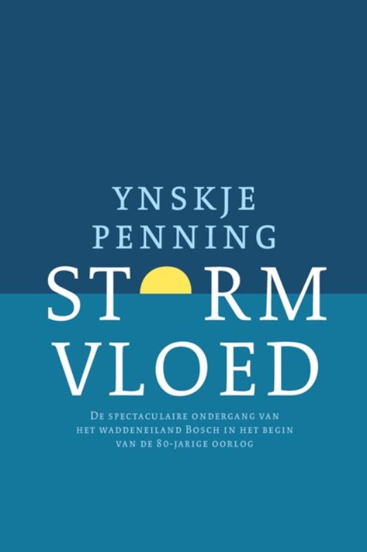 Omslag van Stormvloed