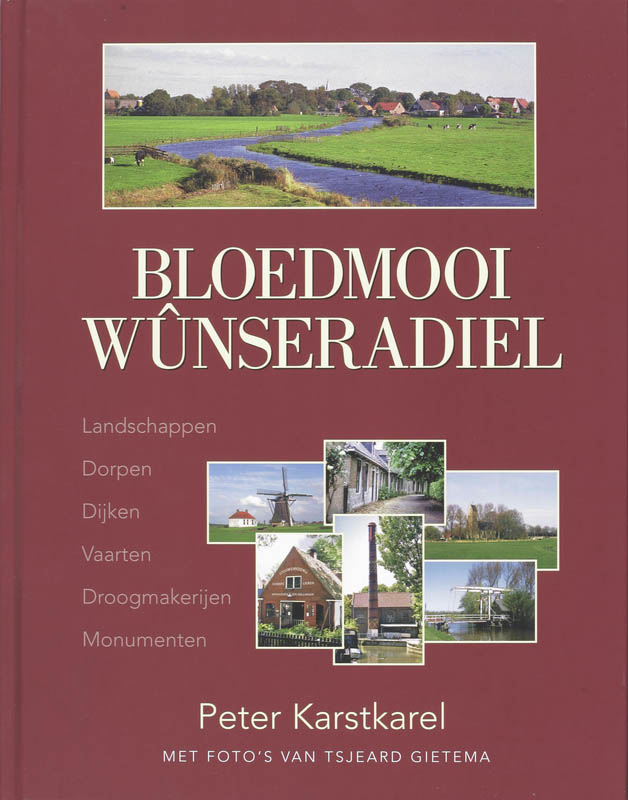 Omslag van Bloedmooi Wunseradiel
