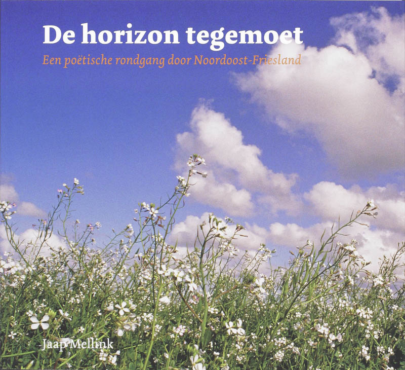 Omslag van De horizon tegemoet