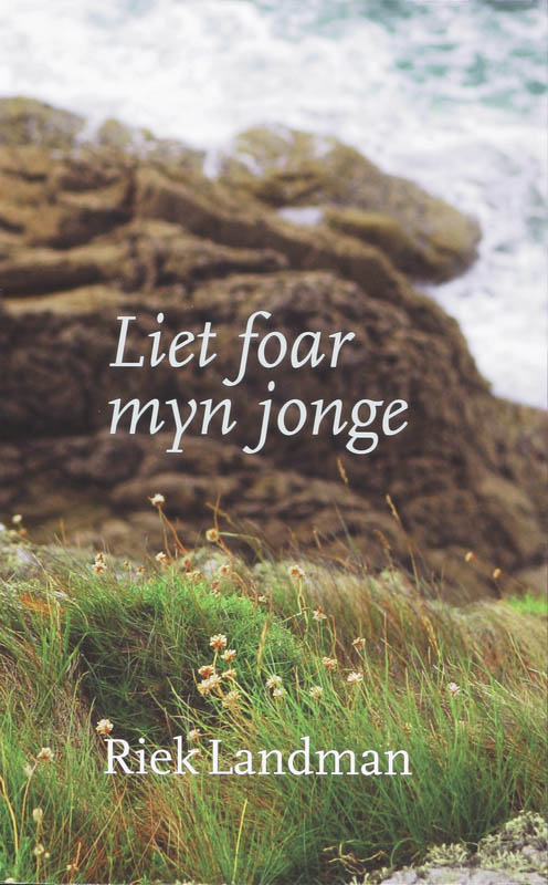 Omslag van Liet foar myn jonge
