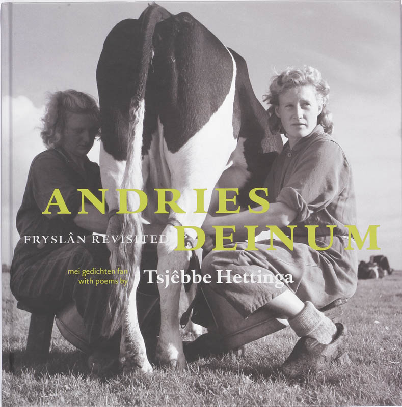 Omslag van Andries Deinum