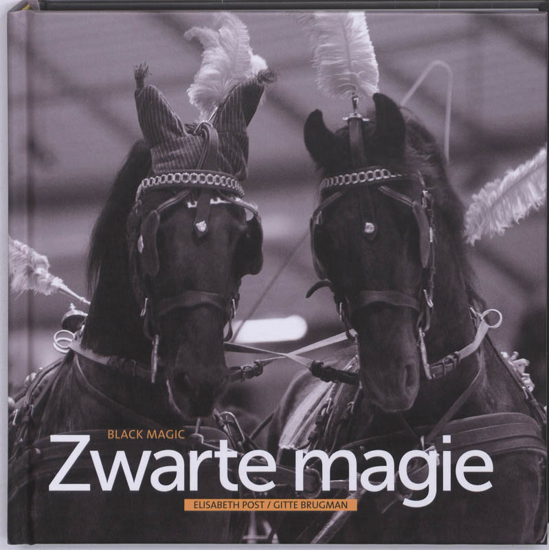 Omslag van Zwarte magie