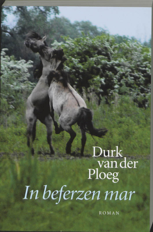 Omslag van In beferzen mar