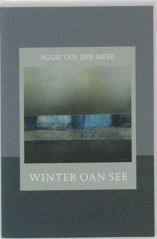 Omslag van Winter oan see