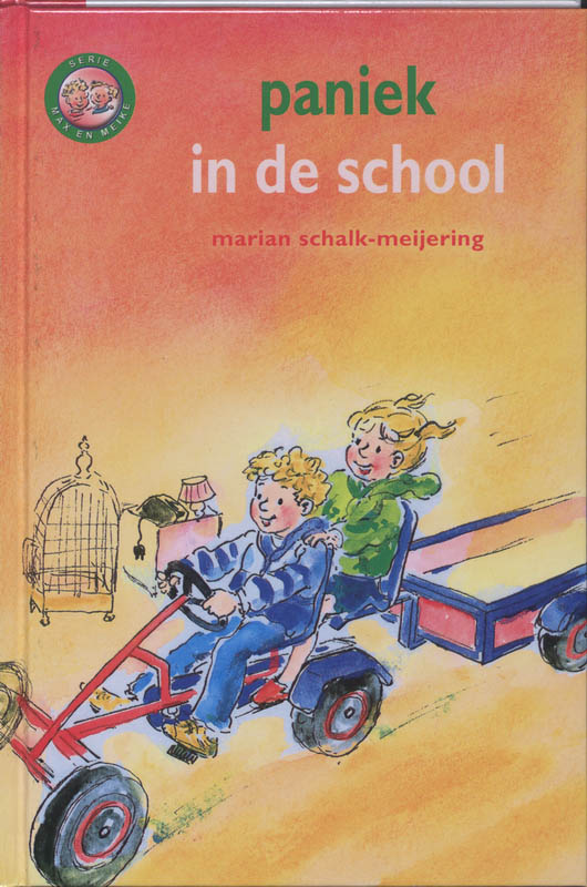 Omslag van Paniek in de school