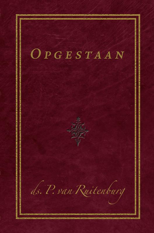 Omslag van Opgestaan