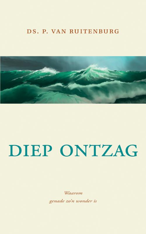 Omslag van Diep ontzag