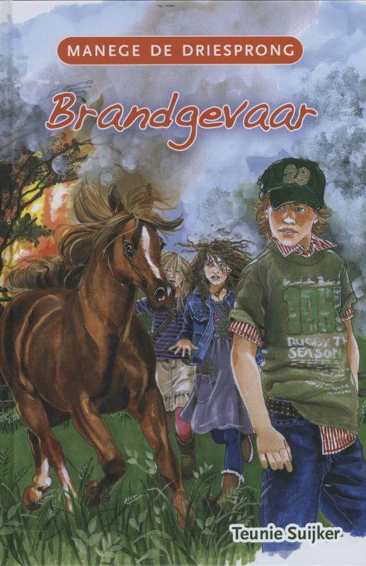 Omslag van Brandgevaar