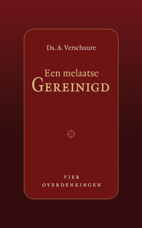 Omslag van Een melaatse gereinigd
