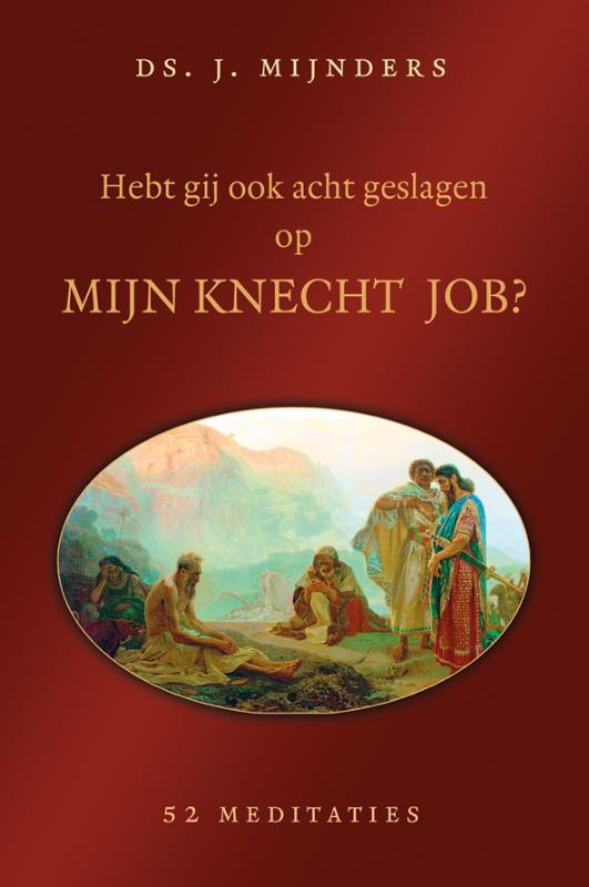 Omslag van Hebt gij ook acht geslagen op mijn knecht Job?