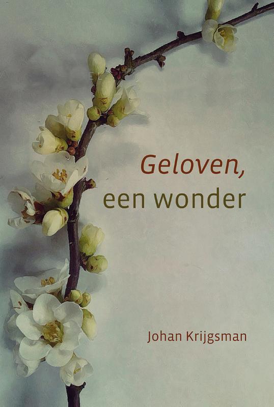 Omslag van Geloven, een wonder