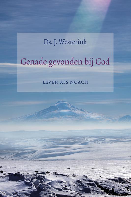 Omslag van Genade gevonden bij God
