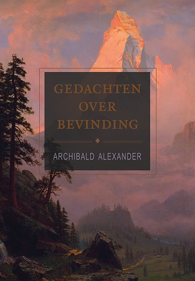 Omslag van Gedachten over bevinding