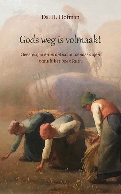 Omslag van Gods weg is volmaakt