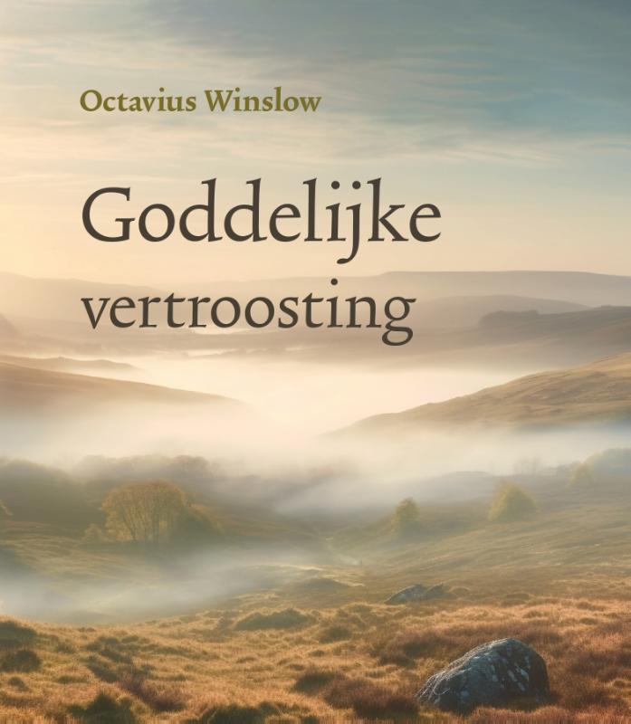 Omslag van Goddelijke vertroosting