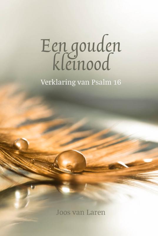 Omslag van Een gouden kleinood