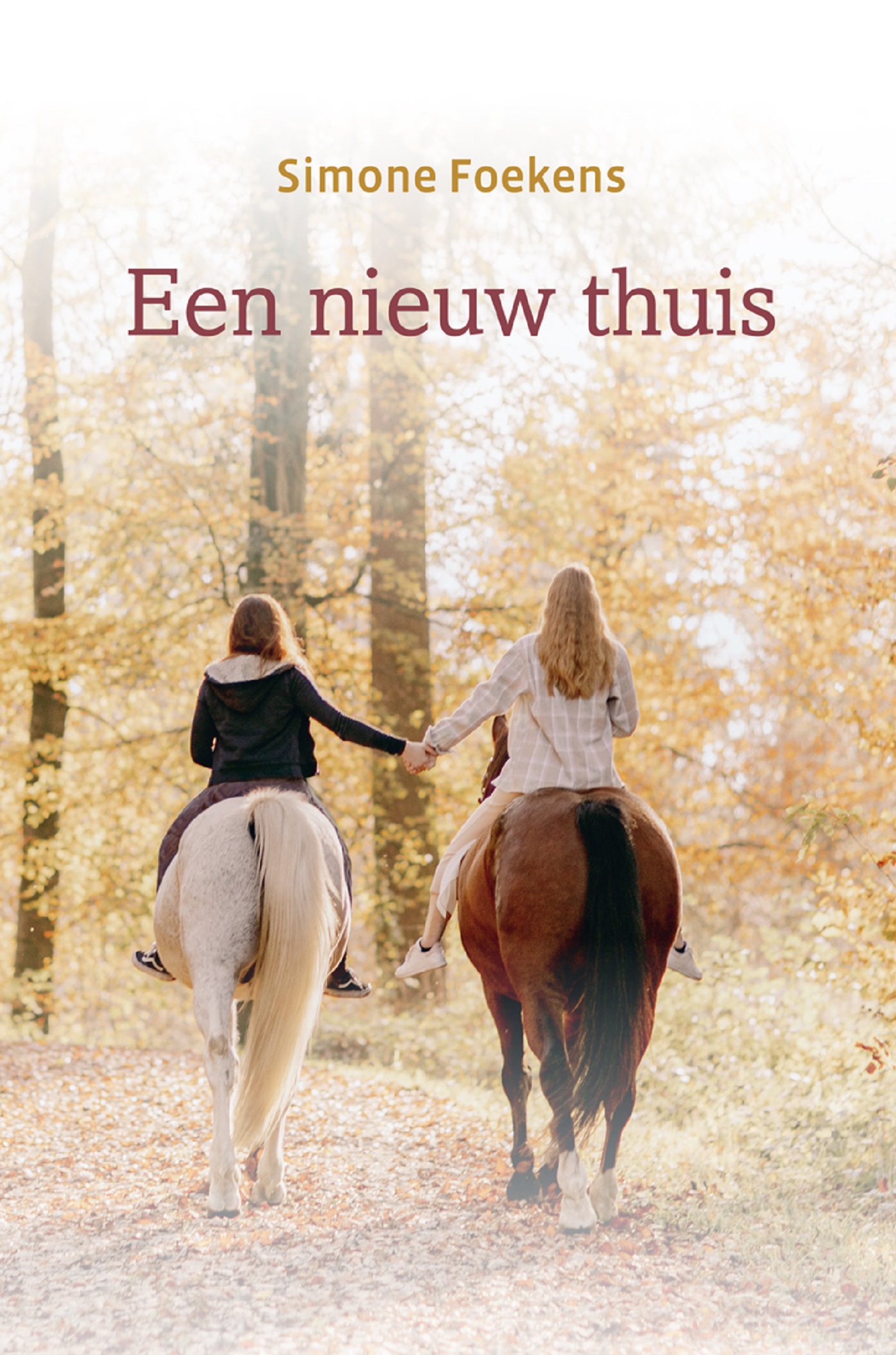 Omslag van Een nieuw thuis