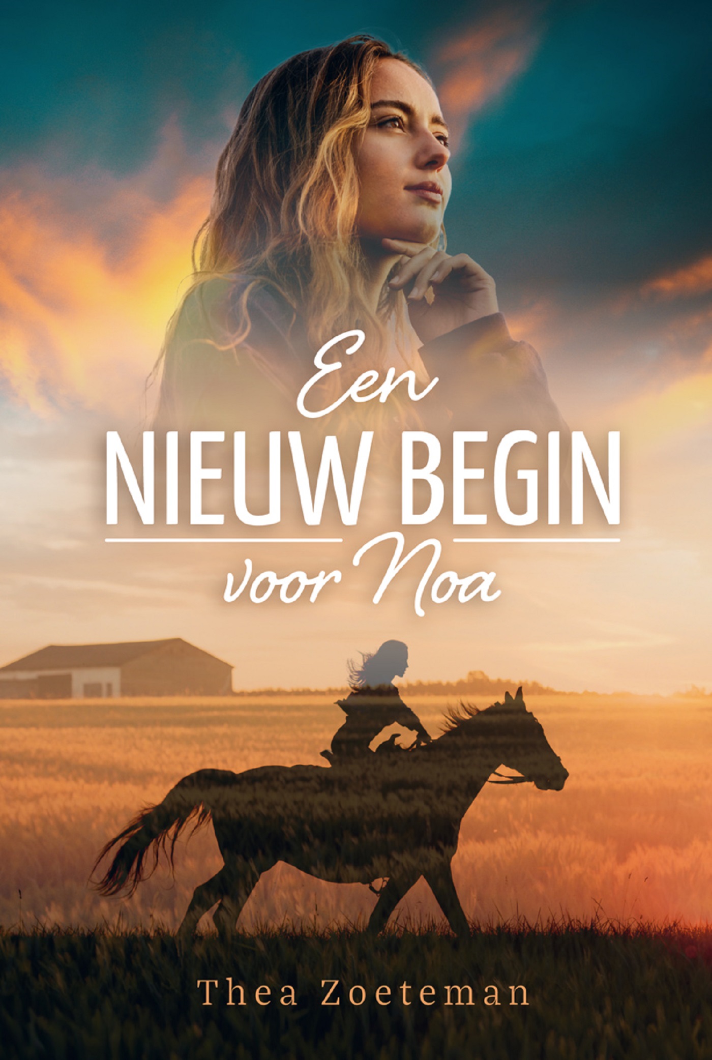 Omslag van Een nieuw begin voor Noa