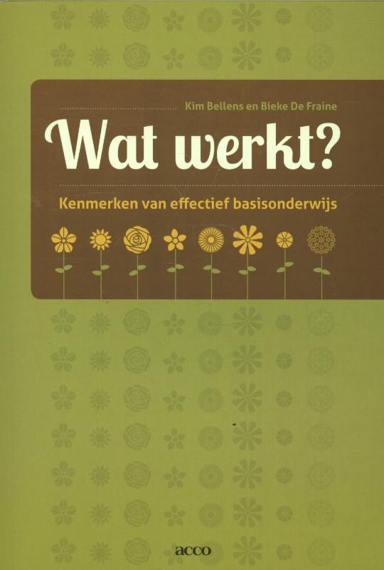 Omslag van Wat werkt?