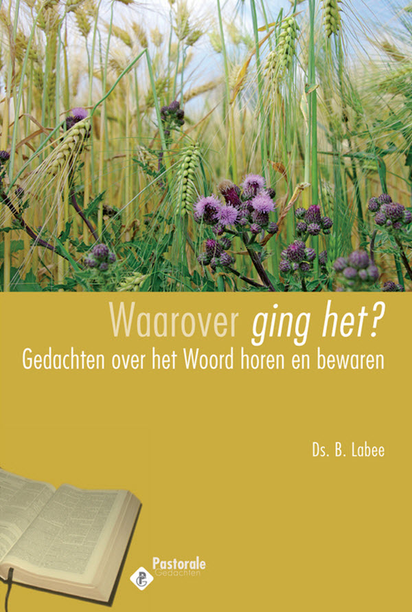 Omslag van Waarover ging het?