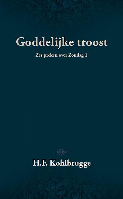 Omslag van Goddelijke troost