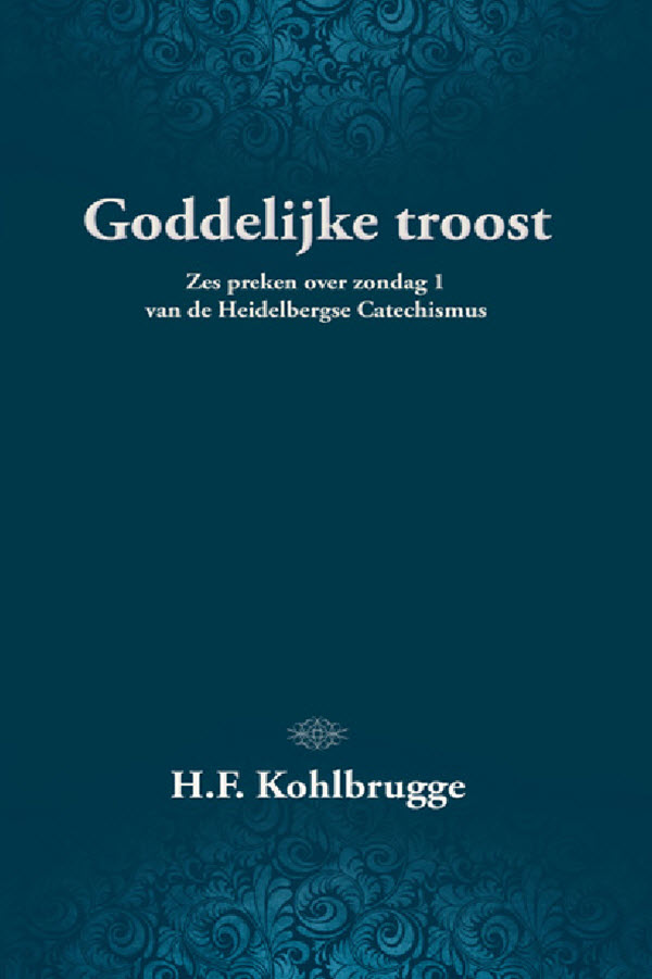 Omslag van Goddelijke troost