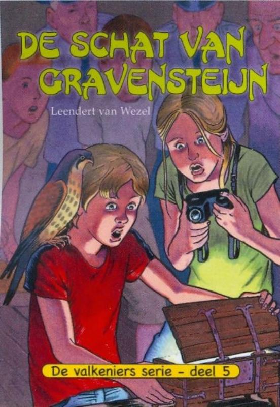 Omslag van De schat van Gravensteijn