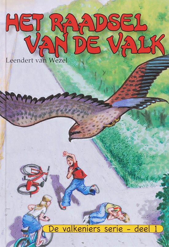 Omslag van Het raadsel van de valk