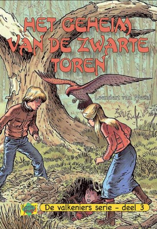 Omslag van Het geheim van de zwarte toren