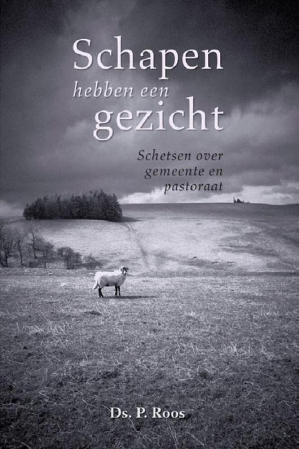 Omslag van Schapen hebben een gezicht