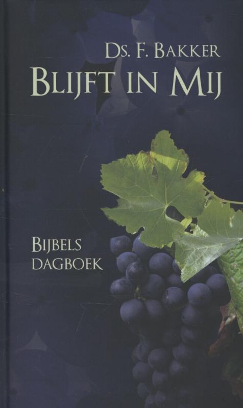Omslag van Blijft in mij
