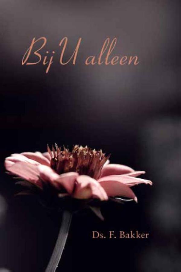 Omslag van Bij U alleen