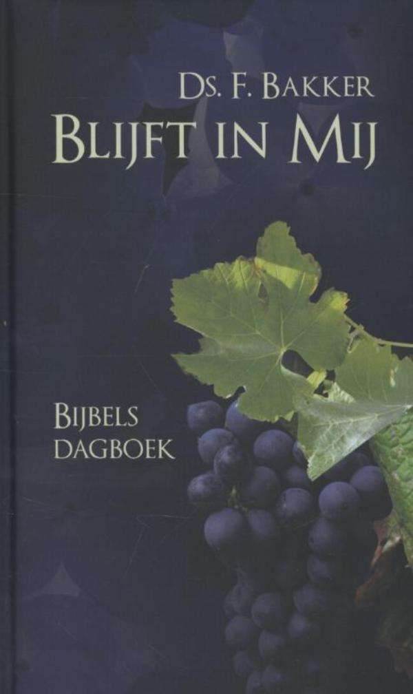 Omslag van Blijft in Mij
