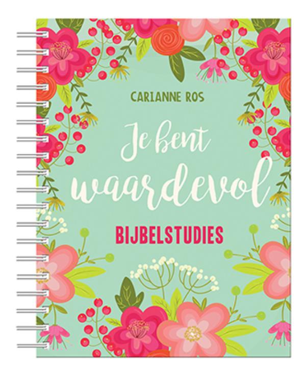 Omslag van Je bent waardevol
